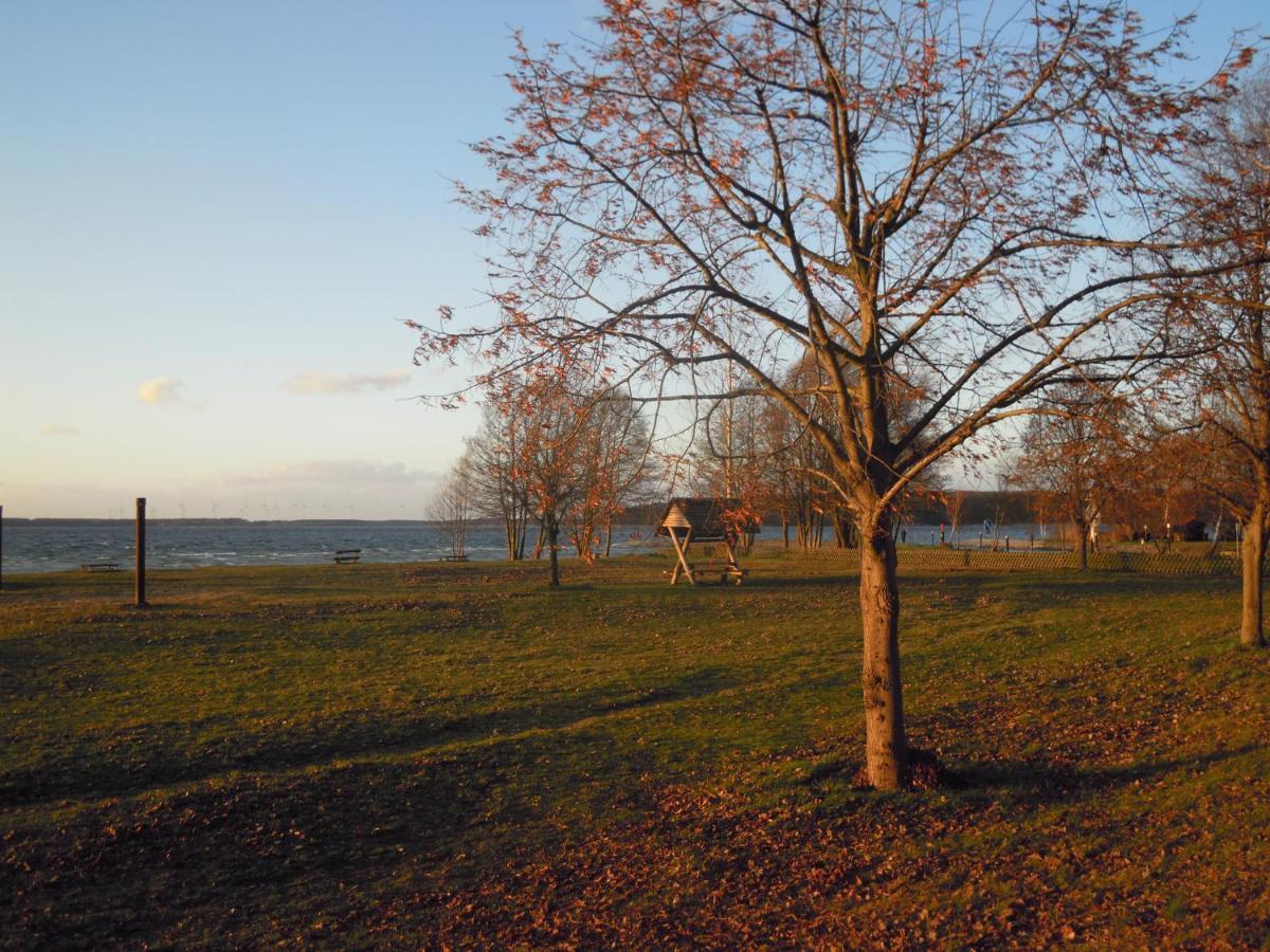 Lenzer Parkblick Am Plauer See エクステリア 写真