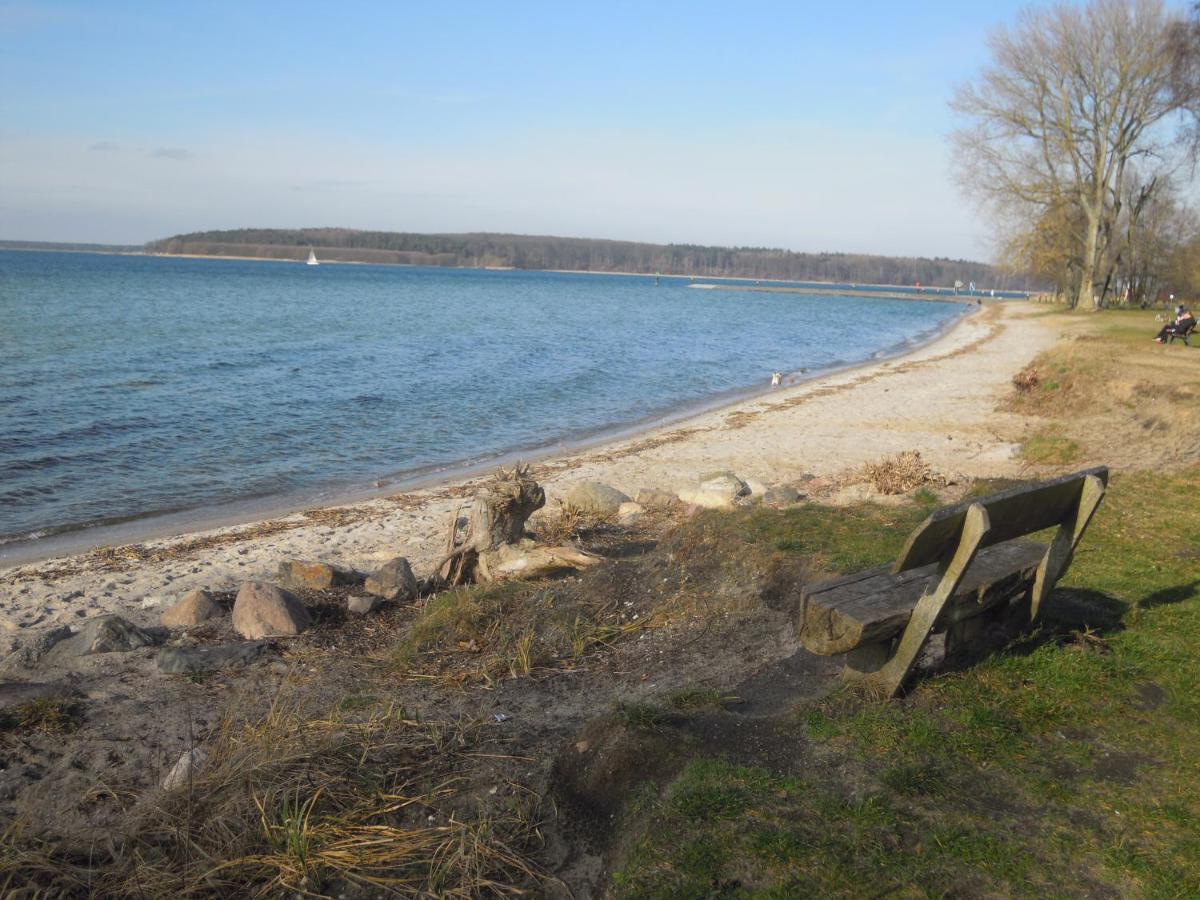 Lenzer Parkblick Am Plauer See エクステリア 写真